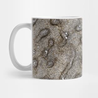 Spotted Volcanic Rock Formation Mug